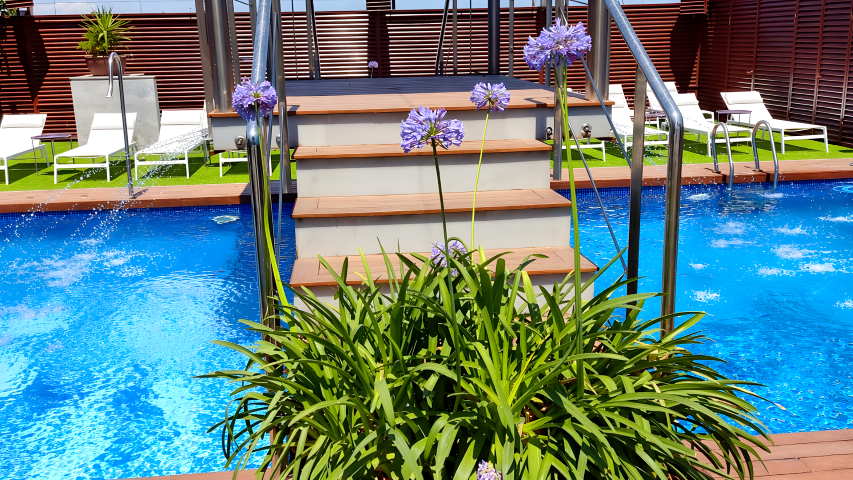 Detalle de flores y escaleras en la piscina del Hotel Ruta Romana